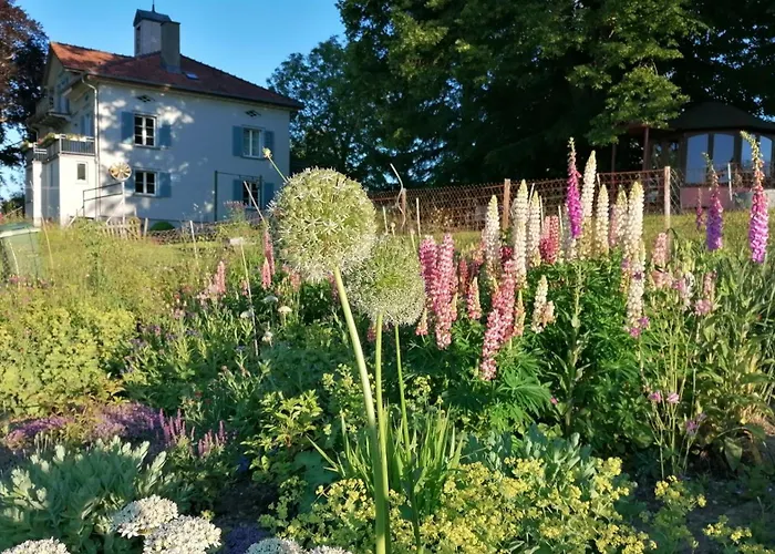 Seesicht Und Charmante Wohnung Bei Hanni Und Ueli
