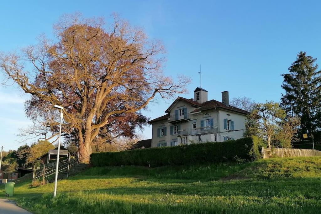 Seesicht Und Charmante Bei Hanni Und Ueli Bottighofen